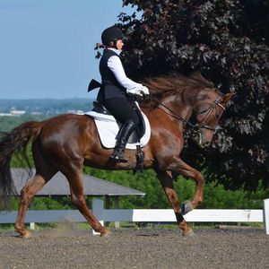 Meet your Posher, Mary